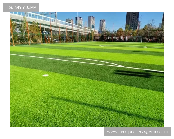 足球联赛在青训扶持中推动俱乐部与社会组织合作共同建设基层项目