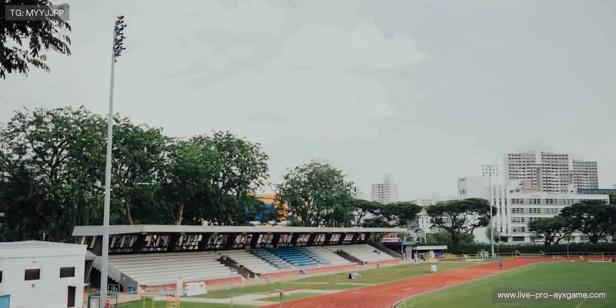 定制你的主队战袍,让支持更有态度!👕❤️